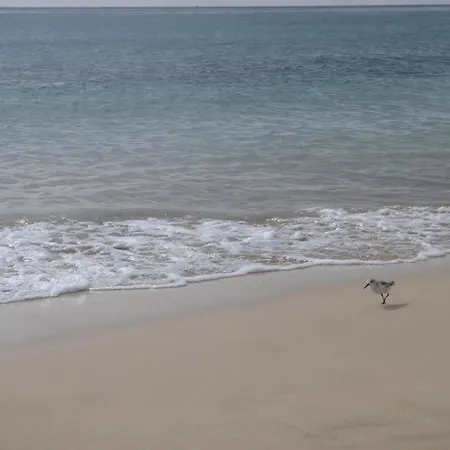 Strandnahe In Morro Jable (Fuerteventura)
